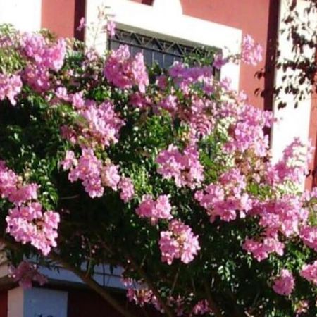 Salteras Casa Bignoniaヴィラ エクステリア 写真