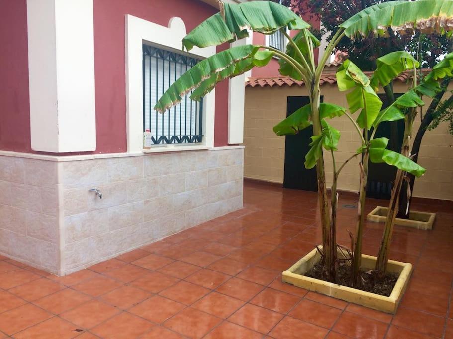 Salteras Casa Bignoniaヴィラ エクステリア 写真