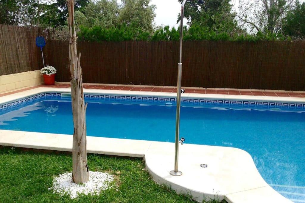 Salteras Casa Bignoniaヴィラ エクステリア 写真