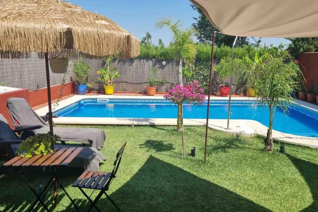 Salteras Casa Bignoniaヴィラ エクステリア 写真