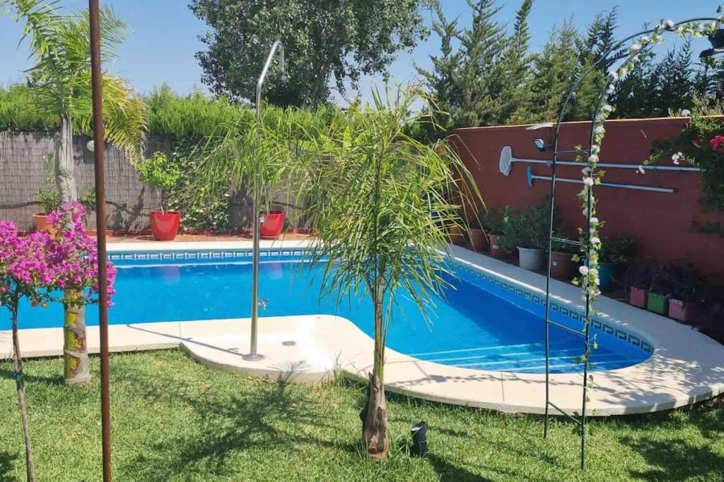 Salteras Casa Bignoniaヴィラ エクステリア 写真